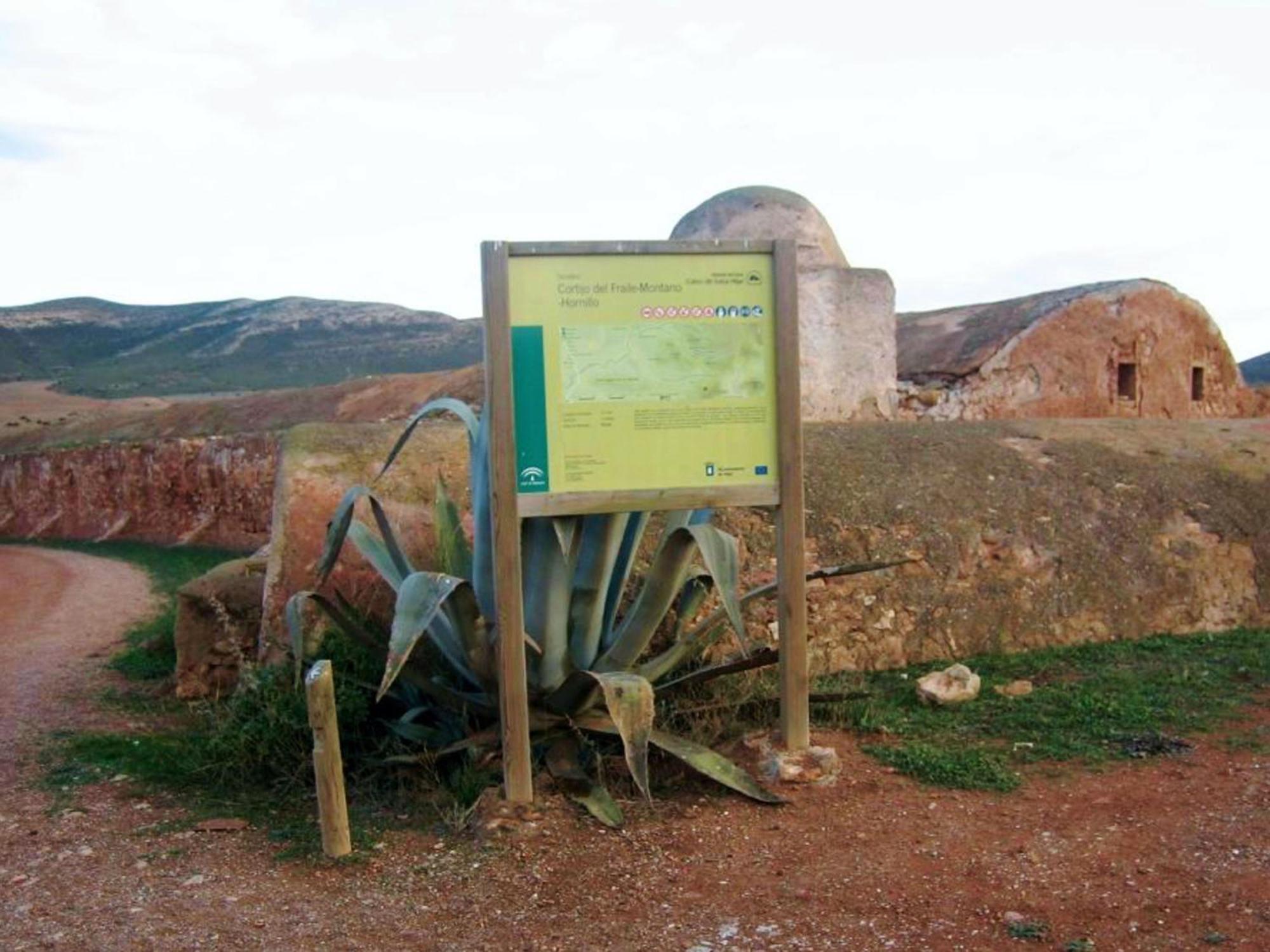 Live Arico El Cortijo Casa Rural Con Solarium & Terrace Arico Viejo Εξωτερικό φωτογραφία